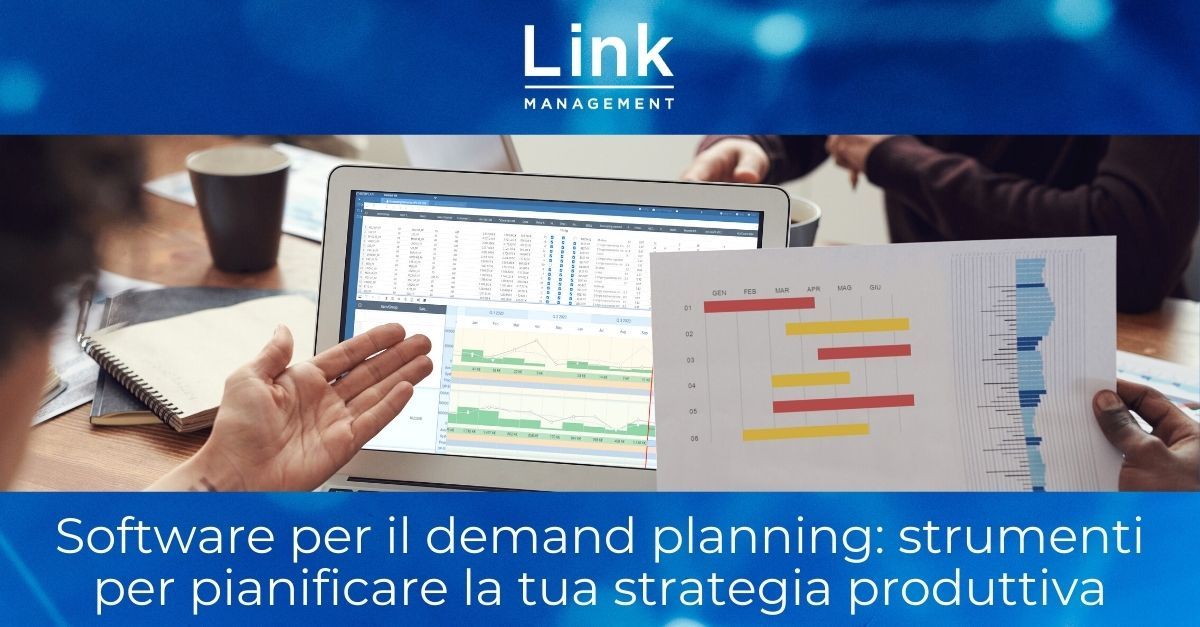 Software per il demand planning
